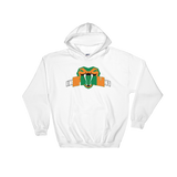 FAMU Hooded Sweatshirt - WeAre2100 Apparel